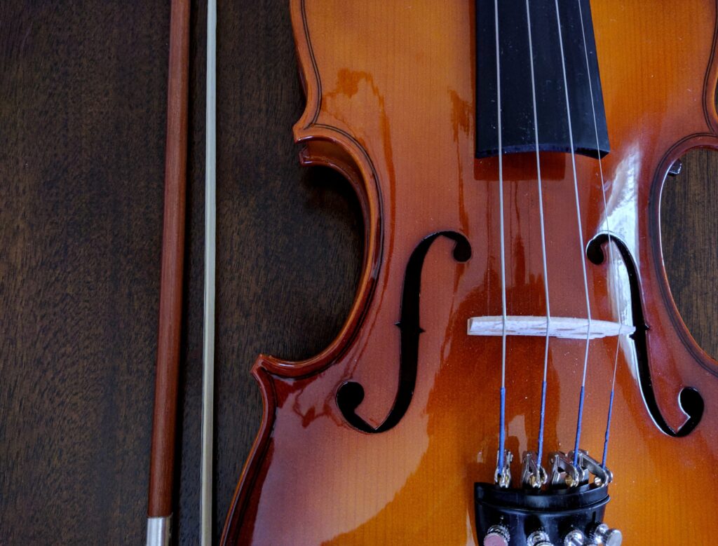 violin